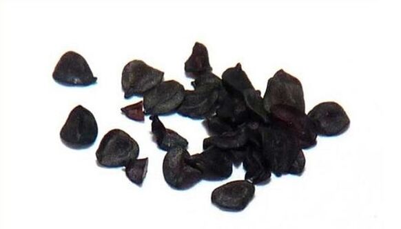 clove seeds against parasites